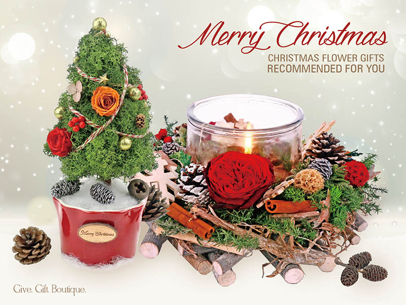 Christmas Flower Gifts Recommended for You